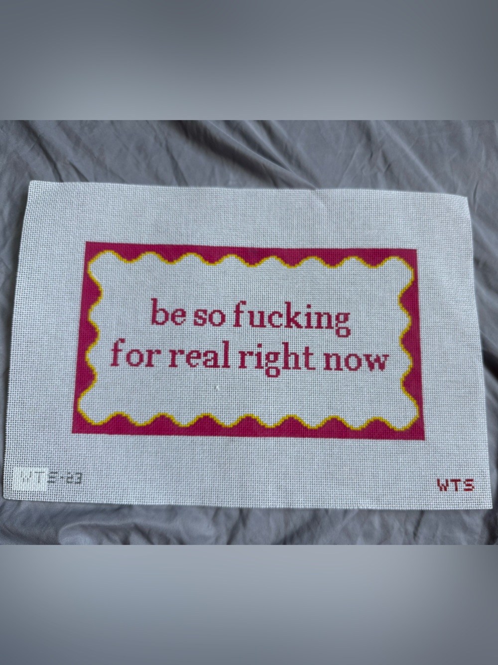What’s the Stitch "Be So Fckg For Real Right Now" Needlepoint Canvas Crafts